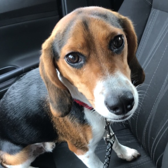 Meet your Posher, Jenifer - Picture 1 of 1